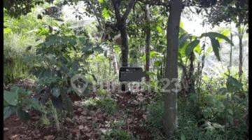 Gambar 3 Dijual Sebidang Tanah Di Caringan, Kabupaten Bogor