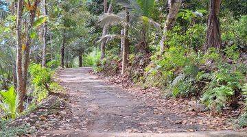 Gambar 2 Tanah Pohon Cengkeh Dan Durian