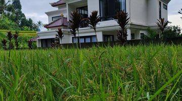 Gambar 1 Rumah tegal alang ubud