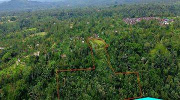 Gambar 5 (D15) Premium Land Dengan View Sungai Besar Dan Hutan Di Ubud Payangan 