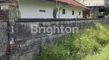 Gambar 3 RUMAH STYLE BALI LUAS DENGAN VIEW SAWAH HIJAU GIANYAR