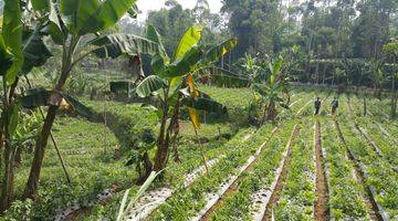 Gambar 2 Di jual tanah + bangunan bekas peternakan sapi