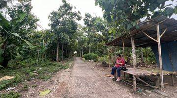 Gambar 4 Tanah Murah Lingkungan Pemukiman Area Bantul Dekat Kampus Baru Uin