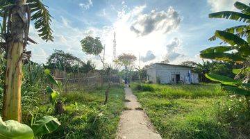 Gambar 4 Tanah Kebon, Ada Rumah, Cocok Untuk Ternak / Bertani