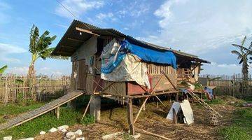 Gambar 5 Tanah Kebon, Ada Rumah, Cocok Untuk Ternak / Bertani