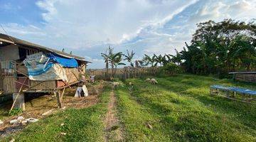 Gambar 2 Tanah Kebon, Ada Rumah, Cocok Untuk Ternak / Bertani