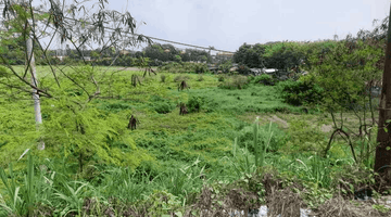 Gambar 2 Tanah Darat Dekat Jembatan Bogeg Strategis