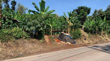 Gambar 1 Tanah di Cibinong Hilir, Bogor SHM 27 ha