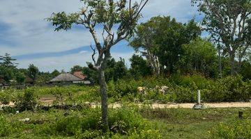 Gambar 2 250 Sqm Small Plot Balangan Beach, 35 Years Lease, Walking Distance To The Beach.