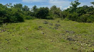 Gambar 4 Amazing Land Plot At Walking Distance To Balangan Beach In A Quiet, Residential Area