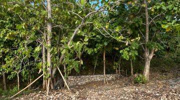 Gambar 3 Rare small 250 sqm land for lease Balangan Beach - Jungle views