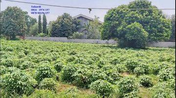 Gambar 1 Tanah Kavling Rumah Kebon Dijual di Parung Hijau 2 Tajur Halang Bogor