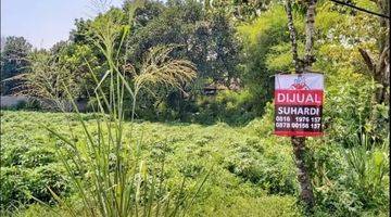 Gambar 3 Tanah Kavling Rumah Kebon Dijual di Parung Hijau 2 Tajur Halang Bogor