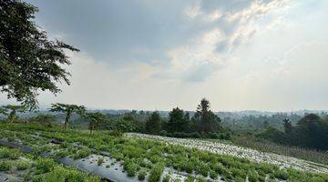 Gambar 1 Tanah Siap Bangun View Kota di Padasuka Atas Bandung