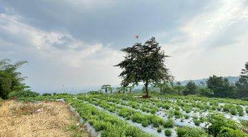 Gambar 5 Tanah Siap Bangun View Kota di Padasuka Atas Bandung