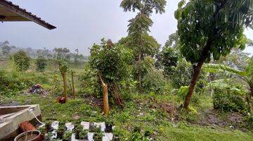 Gambar 3 Tanah Matang siap Bangun Lembang Bandung Barat