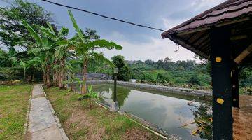 Gambar 2 Villa Dan Tanah Luas 1 Hektar di Bogor Ada Air Terjun Nya