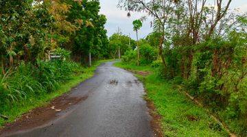 Gambar 4 39 are Tanah Jalan Aspal Desa Subur Kubutambahan Buleleng 