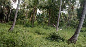 Gambar 1 BEACH FRONT/LOS PANTAI.LES TEJAKULA