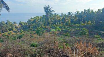 Gambar 5 9 Hektar Fantastis Ocean View.close To New Airport Kubutambhan Buleleng Bali