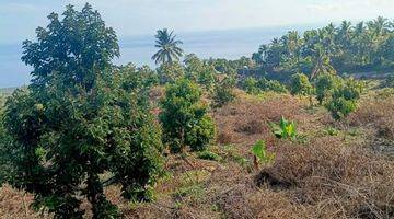 Gambar 4 9 Hektar Fantastis Ocean View.close To New Airport Kubutambhan Buleleng Bali