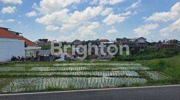 Gambar 4 Toko 1 Lantai Lokasi Premium Pinggir Jalan Pererenan 