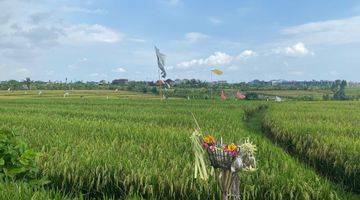 Gambar 1 Leasehold Land In cemagi Area 