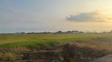 Gambar 4 Tanah Premium View Sawah & Dekat Dari Pantai.( Tanah Kontrakan)