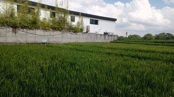 Gambar 1 TANAH VIEW SAWAH TUMBAK BAYUH CANGGU BALI