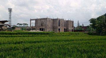 Gambar 4 TANAH VIEW SAWAH TUMBAK BAYUH CANGGU BALI