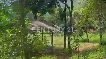 Gambar 2 Dijual Tanah Kebun Berbukit Dekat Pasar Loji Tegal Waru Karawang