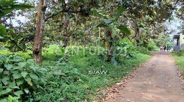 Gambar 3 Turun Harga Tanah Aktif Kebun Duren Siap Bangun Subang Jawa Barat