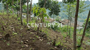 Gambar 2 Tanah Untuk Cafe Villa Bandung Utara Dekat Lembang 