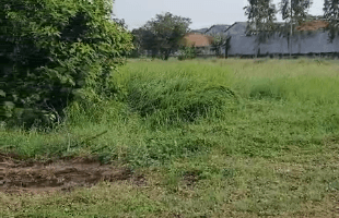 Gambar 3 Disewakan Tanah Di Kampung Melayu Belakang Bandara, Tangerang.