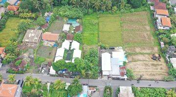 Gambar 5 Freehold Land In The Heart Of Ubud S Tourist Hub 