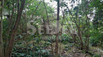 Gambar 1 9,10 Are Land For Sale In Umalas