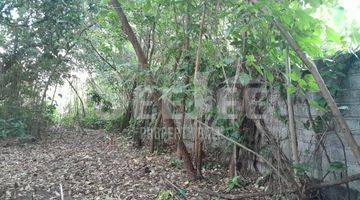 Gambar 4 9,10 Are Land For Sale In Umalas