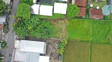 Gambar 2 Freehold Land In The Heart Of Ubud S Tourist Hub 