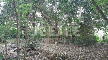 Gambar 3 9,10 Are Land For Sale In Umalas