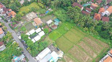 Gambar 1 Freehold Land In The Heart Of Ubud S Tourist Hub 