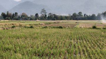 Gambar 1 Lahan Tanah Desa Karang Tanjung Cililin Kabupaten Bandung