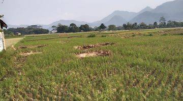 Gambar 3 Lahan Tanah Desa Karang Tanjung Cililin Kabupaten Bandung