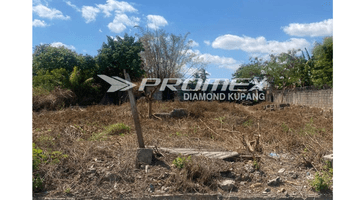 Gambar 1 Dijual Tanah Luas di Airnona, Kota Kupang