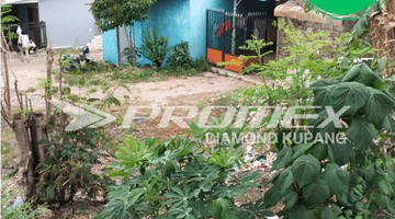 Gambar 1 Dijual Tanah Belakang Cv Guntur Oebobo Kupang