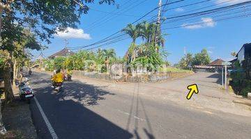 Gambar 5 Tanah Parerenan Kedungu  1025m2