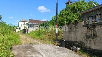 Gambar 5 RUMAH MURAH DI JL KEDUNGU VIEW SAWAH DI KOMPLEKS 