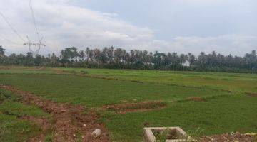 Gambar 4 Tanah Sawah Tegal Bunder Nego Sampai Deal