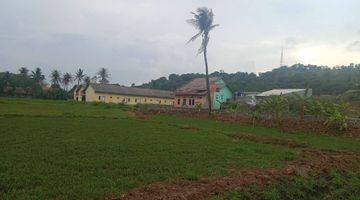 Gambar 2 Tanah Sawah Tegal Bunder Dekat Pasar Harga Miring