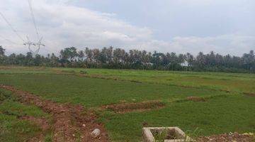 Gambar 3 Tanah Sawah Tegal Bunder Dekat Pasar Harga Miring