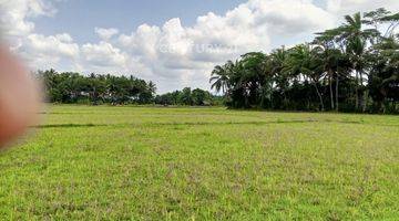 Gambar 3 Tanah Sawah Produktif Pagelaran Pandeglang 